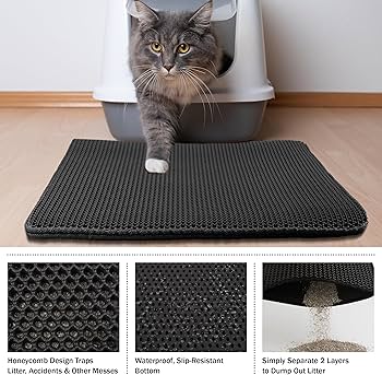 Cat Floor Mat